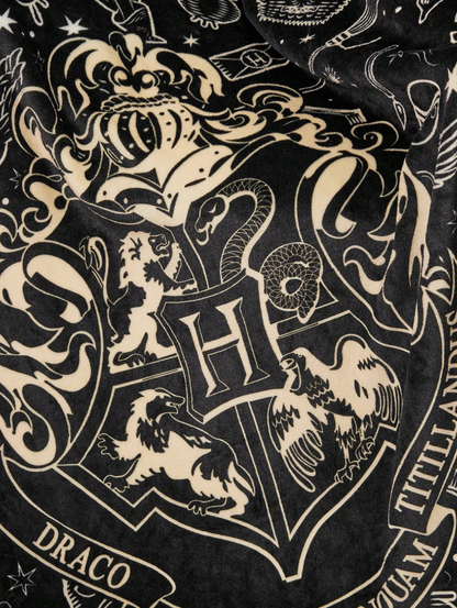 Harry Potter Fleece Blanket